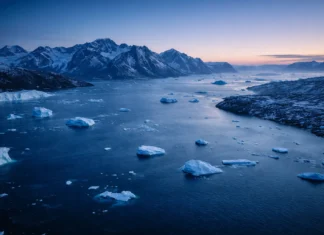 Greenland’s Arctic coastline at blue hour with drifting icebergs in a wide icy fjord beneath snow-covered mountains.